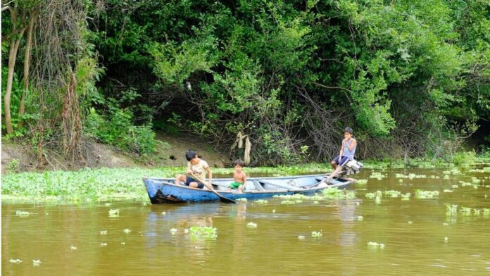 Amazon Rainforest