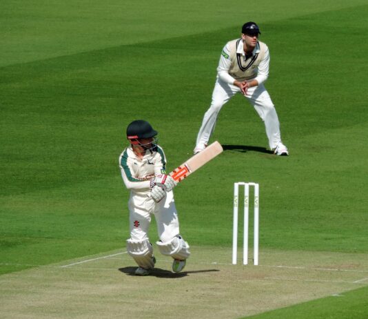 Cricket Playing