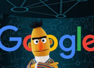 Google BERT Update