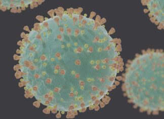 Coronavirus pandemic