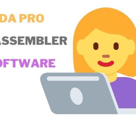 IDA Pro Disassembler Software