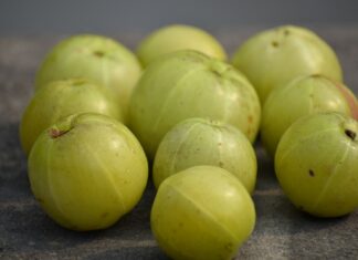 Amla fruit