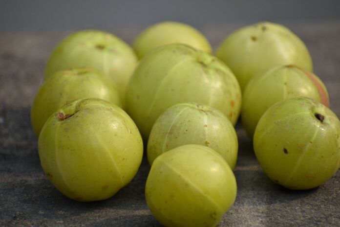 Amla fruit