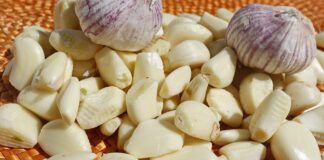 Garlic