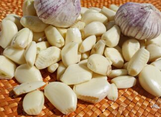 Garlic