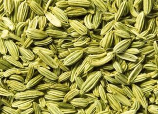 benefits of fennel