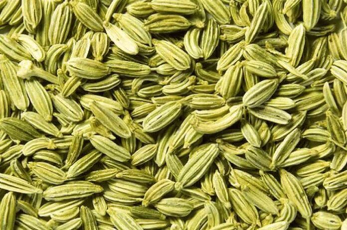 benefits of fennel