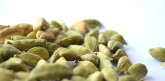 Cardamom