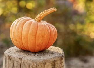 Health benefits of pumpkin