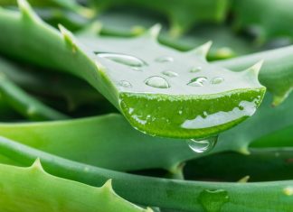 Best Aloe Vera gel