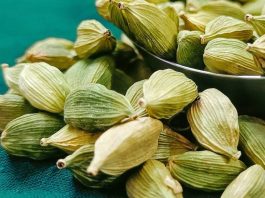 Green Cardamom (Elaichi) Benifits