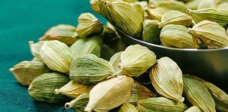 Green Cardamom (Elaichi) Benifits