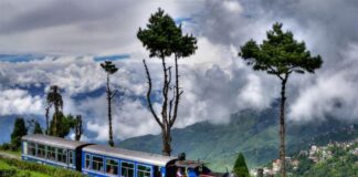 Darjeeling train