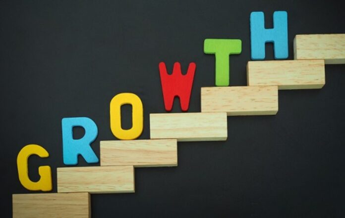 How to manage small business growth – plan your next steps?