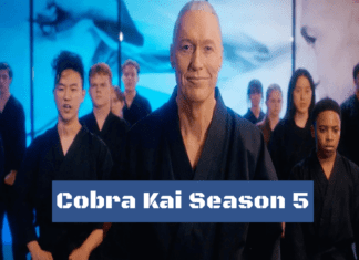 Cobra Kai Season 5