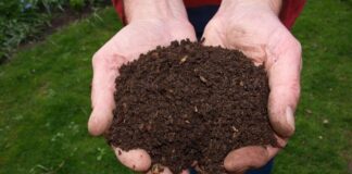 Compost at Home