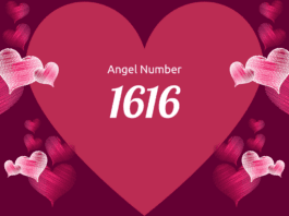 1616 angel number