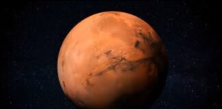 Mars Life Discovered by NASA in 1973