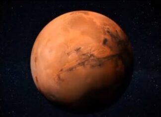 Mars Life Discovered by NASA in 1973