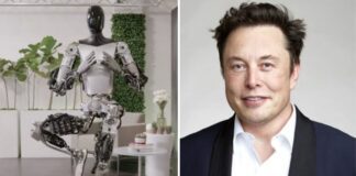 Tesla Optimus Robot Performs Yoga