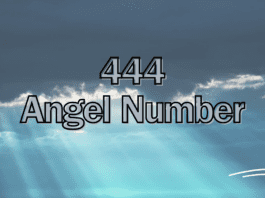 444 Angel Number