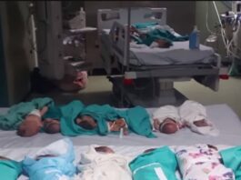 Gaza AL Shifa Hospital Evacuation Israel Siege