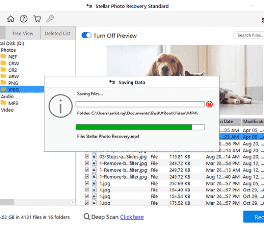 Stellar Photo Recovery Software Review