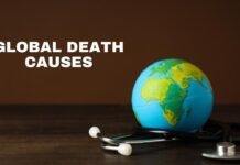 Top Global Death Causes