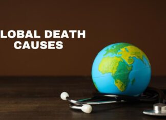 Top Global Death Causes